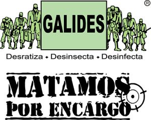 GALIDES